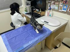 -美联众合动物医院·24h京西诊疗中心