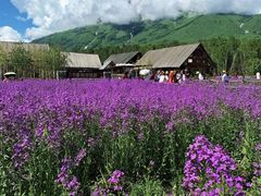 -赛里木湖风景名胜区