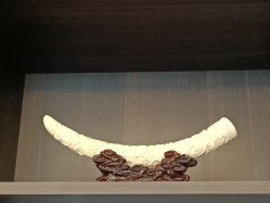 -铂诗玥医美