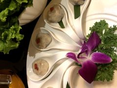 -青岛小羔羊火锅(李村公园店)