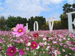 -广东花都香草世界旅游度假区