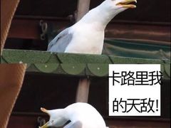 -富源春面馆(四川北路店)