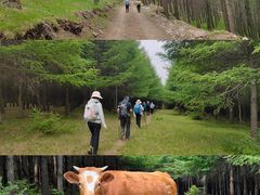 -蔚县茶山村