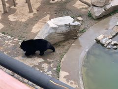 -石家庄市动物园