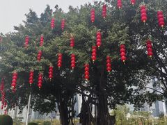 -海心沙亚运公园