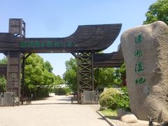 -溱湖国家湿地公园