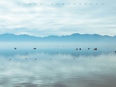 -北岐滩涂