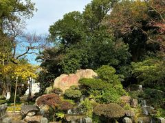 景点-江心屿景区
