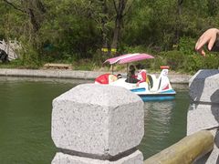 -黑龙江省森林植物园