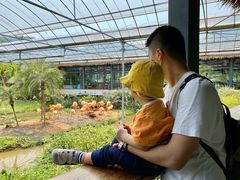 -无锡动物园·太湖欢乐园