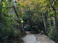 -莫干山风景区