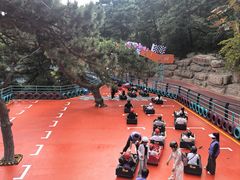 -大芦花风景区