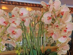 -八府香鸭·啫啫煲(华山路店)