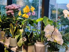 -懒人盐府人家(航天桥店)