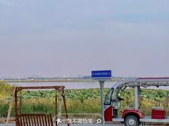 -七的湖·晚芳亭·阳澄湖农家菜·大闸蟹(莲花岛店)