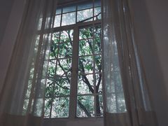 -MAISON门前杂货店