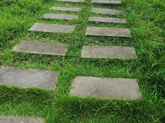 -桤木河湿地公园