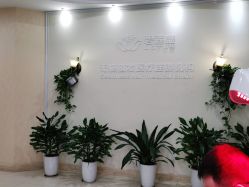 -碧莲盛·不剃发植发