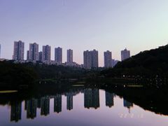 -重庆彩云湖湿地公园