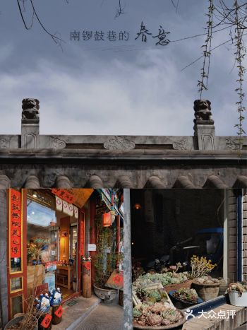 游北京 | 不知胡同深处，能有春意几何？南锣鼓巷