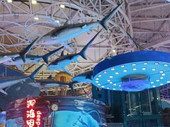 -烟台海昌鲸鲨海洋公园