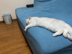 -鸡毛店·川菜(双楠店)