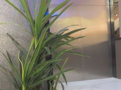 -鹭江潮餐厅•福建菜(鹭江佲家酒店)