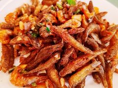 -罗浮山葛仙居菜馆