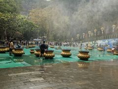 -西双版纳原始森林公园