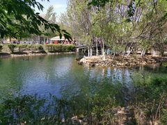 -长白岛森林公园