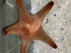 -福州罗源湾海洋世界旅游区