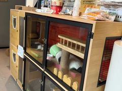 -御宝贝·A梦猫科宠物医院(国际猫友好医院)