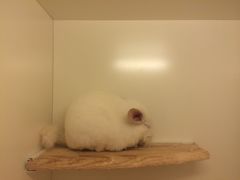 -龙猫仔乐园(惠福东路店)