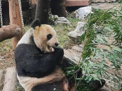 -南昌动物园