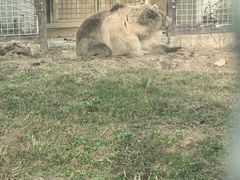 -祥源·阜阳生态乐园