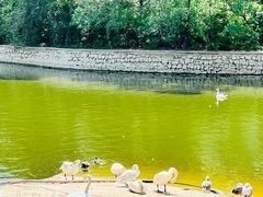 -石家庄市动物园