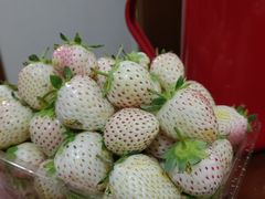 -江杨农产品批发市场