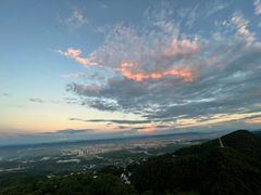 -大金鹰园