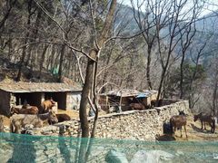 -北京上方山国家森林公园