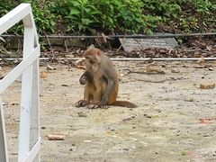 -狮子关旅游区
