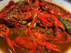 -杨氏青龙虾·羊蝎子(珠江路店)