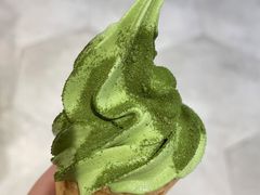 -THE MATCHA TOKYO抹茶东京