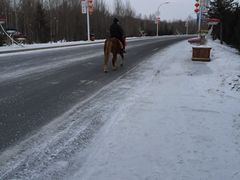 -亚布力新体委滑雪场