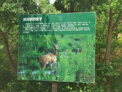 -湖洞水自然风景区