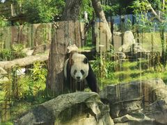 -武汉动物园