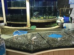 水产区-福泉海码头(六里山店)
