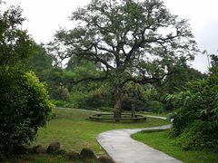 -福建鲤鱼洲酒店