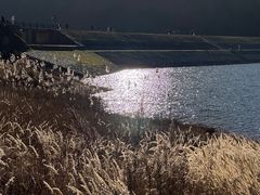 -浙西天池景区