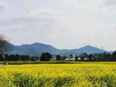 -光明小镇欢乐田园