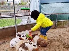 -前小桔亲子创意农场·草莓采摘·露营烧烤